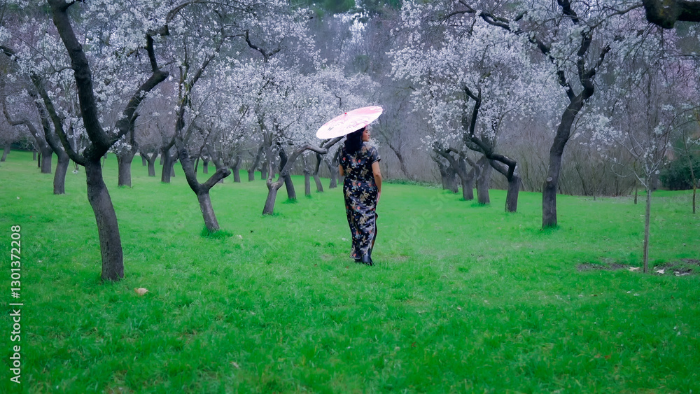 Woman with umbrella walking in blooming almond orchard