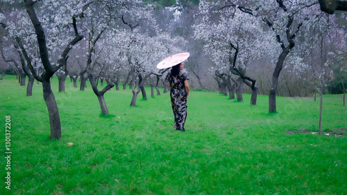 Obraz na płótnie Woman with umbrella walking in blooming almond orchard w salonie