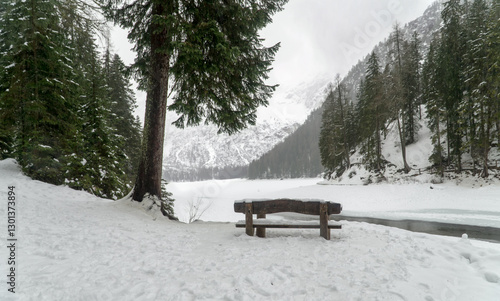 Wallpaper Mural A bench on the shore of the Frozen lake surface covered with snow. Foggy, rainy, winter landscape. Lake Braies, Lago di Braies in winter, Dolomites, Italy, Europe. Torontodigital.ca
