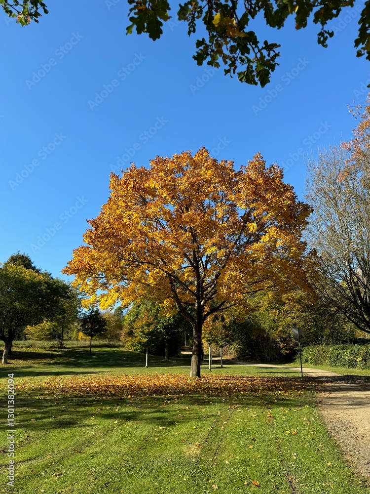 Naklejka premium Herbstlandschaft