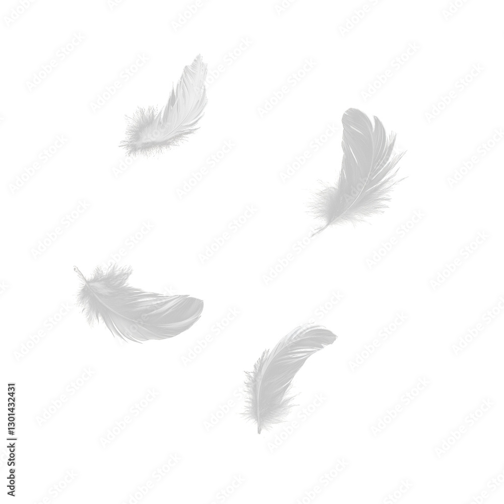 Obraz premium Set of isolated falling white fluffy twirled feathers on png transparent background, generate ai