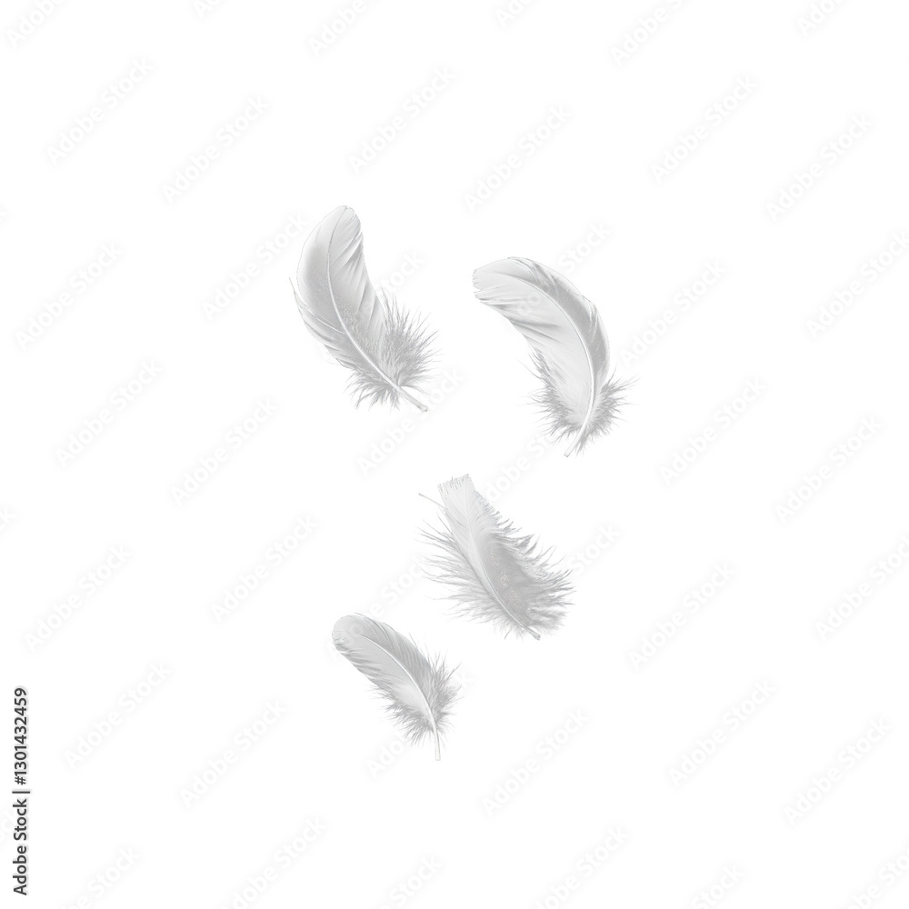 Obraz premium Set of isolated falling white fluffy twirled feathers on png transparent background, generate ai