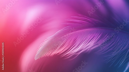 A vibrant feather detail with a beautiful blend of pinks purples and blues