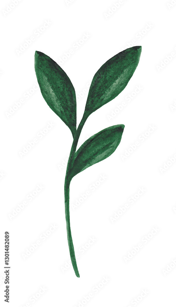 Obraz premium Watercolor green plant isolated on white background. Floral design element.