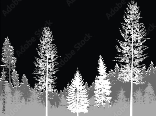 grey coniferous light forest isolated on black
