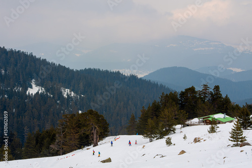 Snowy Mountain Landscape with Skiers and Cabin  
