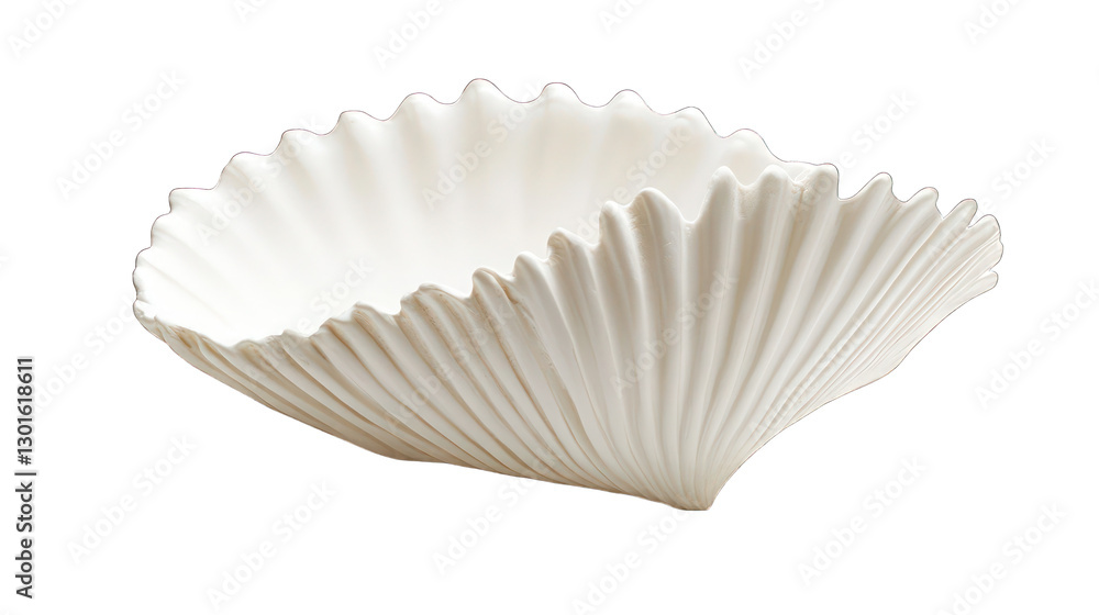 A subtle white seashell with graceful ridges, highlighting its natural ocean-inspired beauty on a white backdrop --ar 16:9 A subtle white seashell with graceful ridges, highlighting its natural ocean-inspired beauty on a white backdrop --ar 16:9