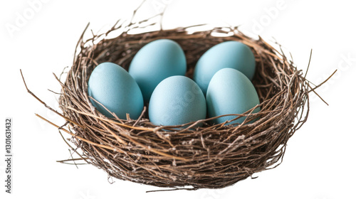 Five light blue easter eggs resting in bird nest on transparent background
