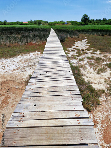 Wooden boardwalk through a marshland under a clear blue sky