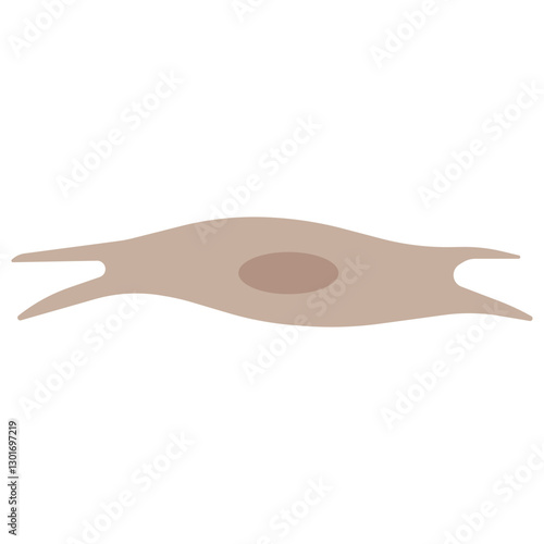 Fibroblast activated colored