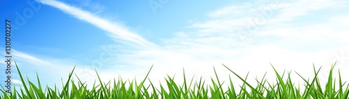 Fresh Grass Under a Clear Sky