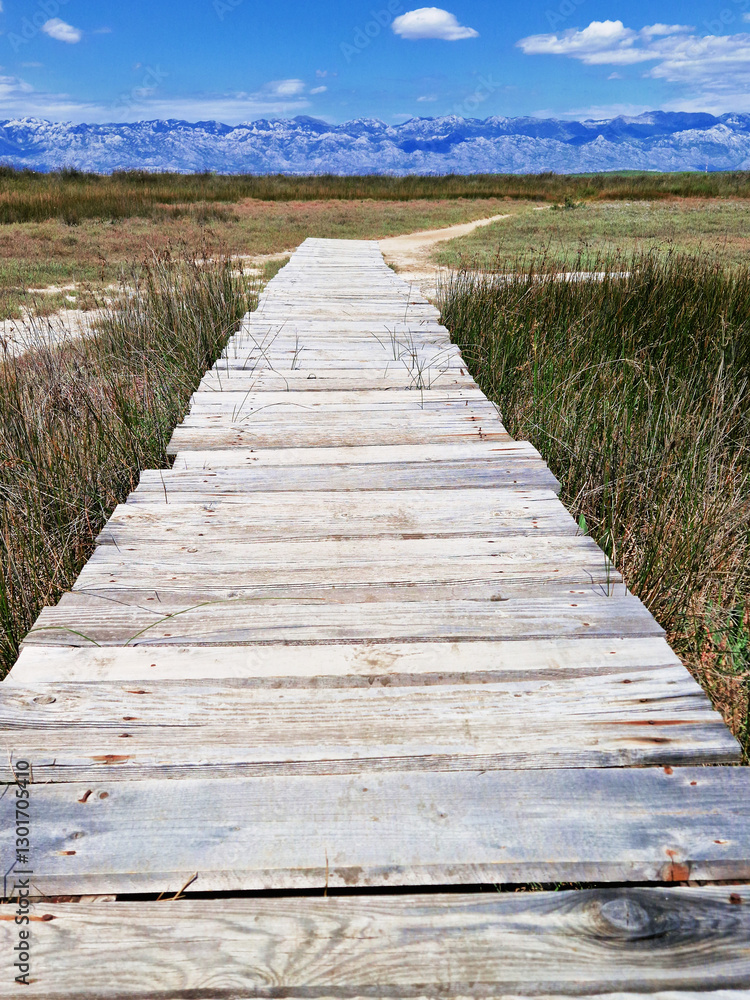 Obraz premium Wooden boardwalk through a marshland under a clear blue sky