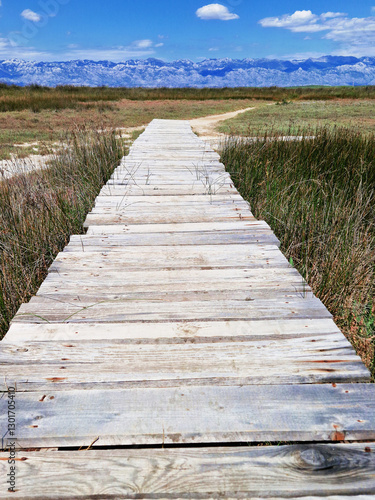 Wooden boardwalk through a marshland under a clear blue sky