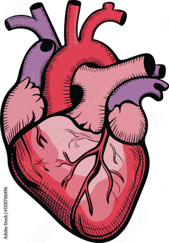 Wallpaper Mural human heart stickers anatomy  Torontodigital.ca