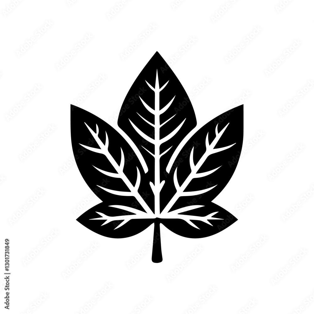 cassava 4 cassava 4