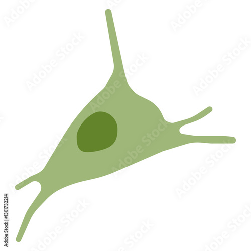Stromal cell bone marrow colored icon