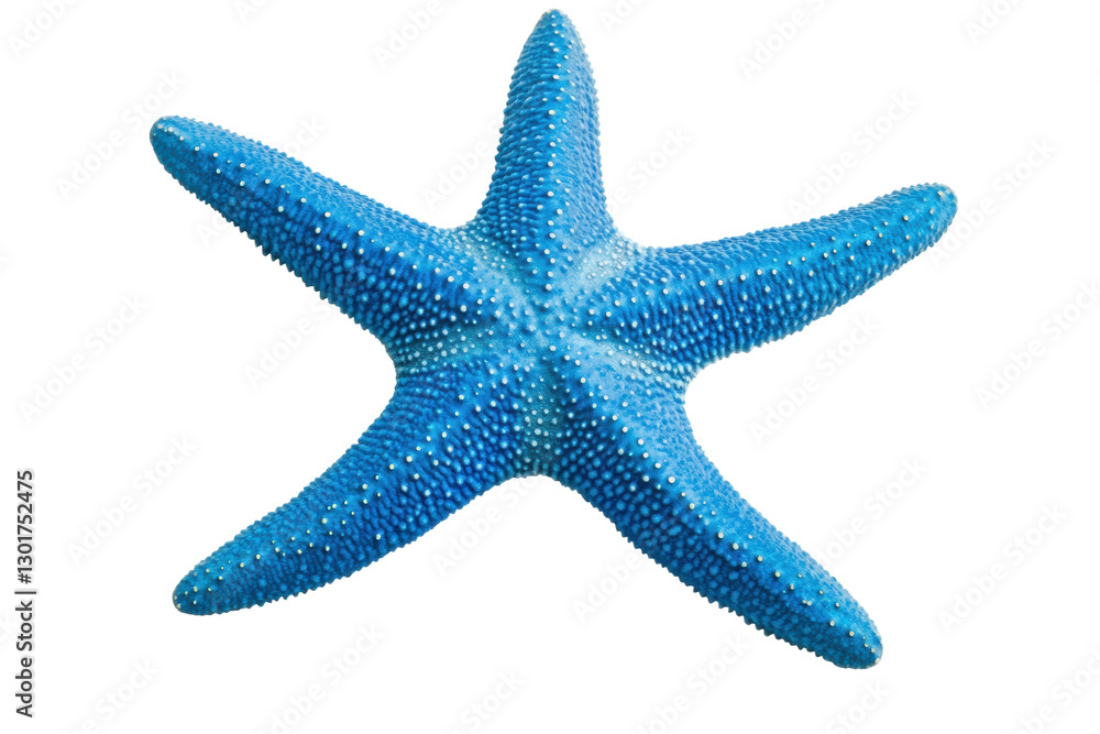 Bright blue starfish showcasing ocean beauty, cut out Bright blue starfish showcasing ocean beauty, cut out