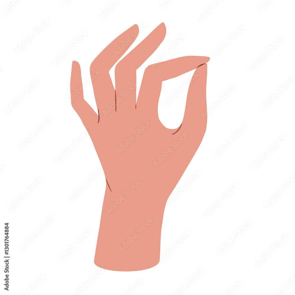 Hand palm illustration Hand palm illustration