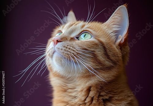 Close-Up Portrait of an Adorable Ginger Cat with Striking Green Eyes Against a Dark Background, Capturing Its Curious Expression and Delicate Features