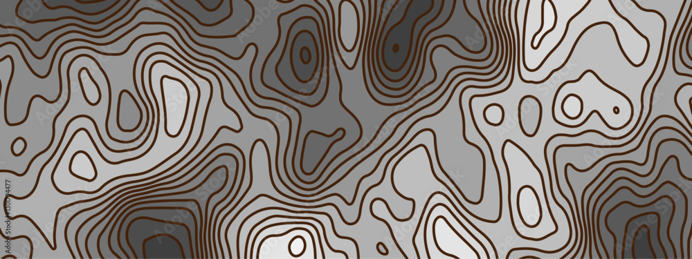 black and white topographic contour map background. black and white topographic contour map background.