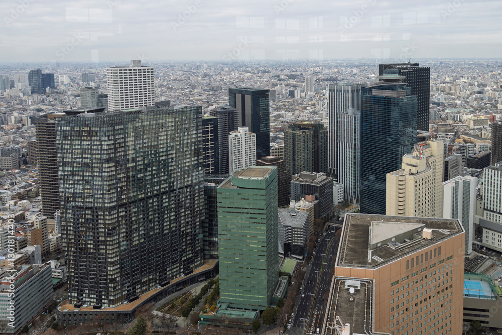 Fototapeta premium 都庁展望台から見た風景