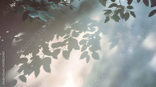 Photo Sunlight Leaves Shado...