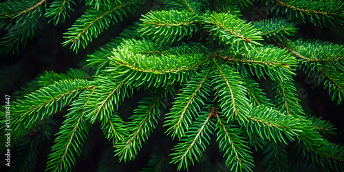 Photo Lush Green Pine Branc...