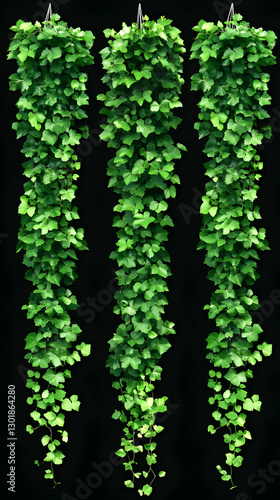 Realistic Image Green Vines...