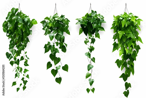 Photo Hanging Vines Green L...