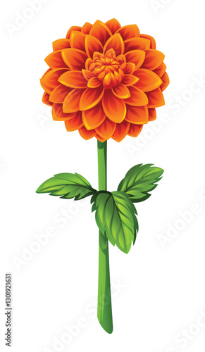 Blooming orange dahlia flower with leaves. Vector cartoon illustration