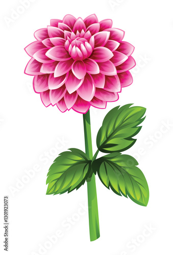 Beautiful pink dahlia flower with leaves. Vector cartoon illustration