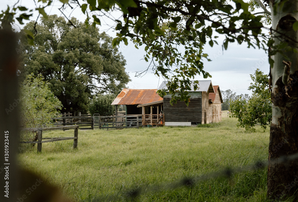 Weathered Shed in Rural Australia Outback Weathered Shed in Rural Australia Outback