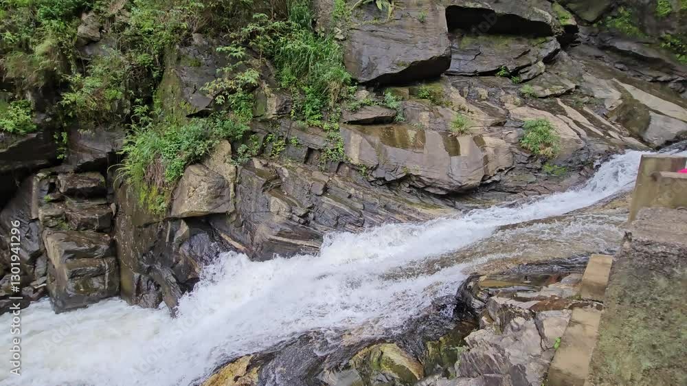 Majestic Waterfall Plunging into a Lush Ravine Majestic Waterfall Plunging into a Lush Ravine