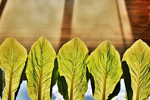 Photo - Sunlight Filtering ...
