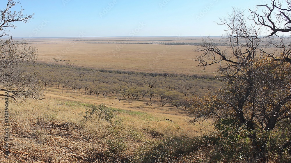 Savanna landscape vista, dry season, trees, distant plains, travel brochure Savanna landscape vista, dry season, trees, distant plains, travel brochure
