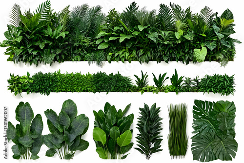 Photo Tropical Green Leaves...