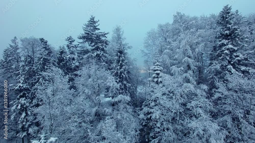 Majestic Winter Wonderland A SnowCovered Forest Set in a Dreamy, Hazy Atmosphere Majestic Winter Wonderland A SnowCovered Forest Set in a Dreamy, Hazy Atmosphere