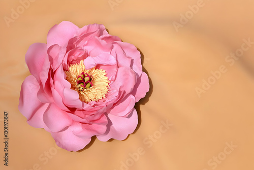 Illustration Pink Peony Flo...