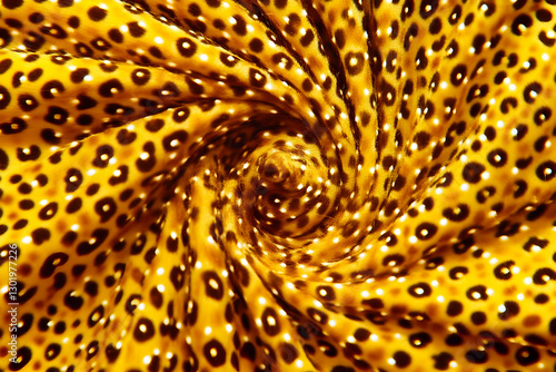 Abstract Photo Golden Swirl...