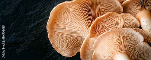 Oyster mushrooms close-up, dark background, food (1)