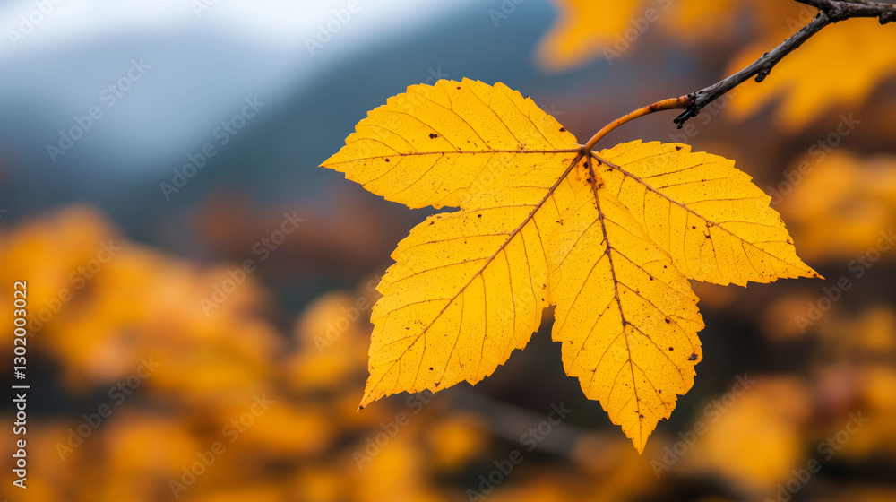 Close-up of vibrant yellow autumn leaves on a tree branch with a blurred forest background Close-up of vibrant yellow autumn leaves on a tree branch with a blurred forest background