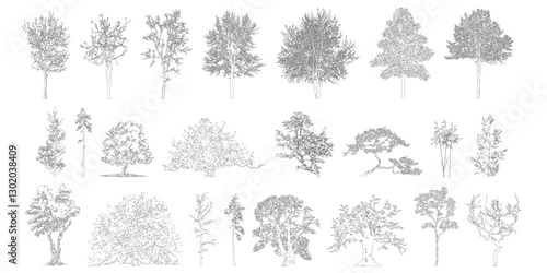 Minimal style cad tree line drawing, Side view, set of graphics trees elements outline symbol for architecture and landscape design drawing. Vector illustration in stroke fill in white. Tropical