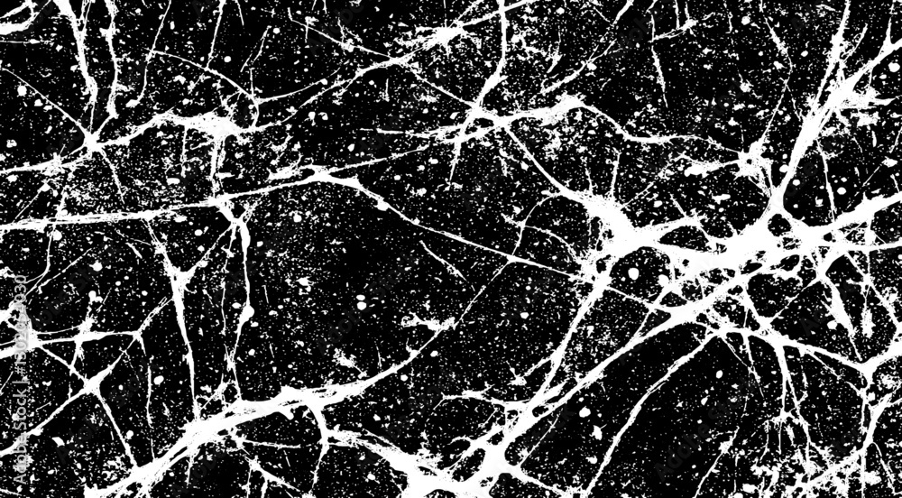 Obraz premium Abstract Splatter and Crack Grunge Texture, High-Contrast Black and White Design