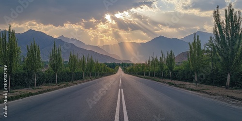 A serene rural road unfurls through verdant woods, marked by a stark white centerline stretching into tranquil infinity photo