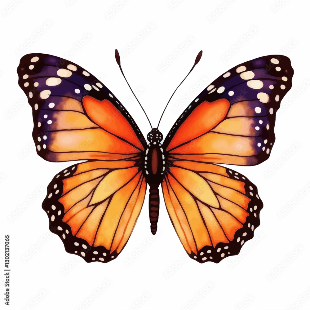 Fototapeta premium Butterfly with Orange and Purple Wings, transparent background