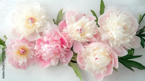 A beautiful arrangement of blooming pink and white flowers