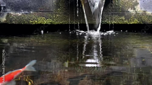 Artificial waterfall in a koi pond with a calm flow