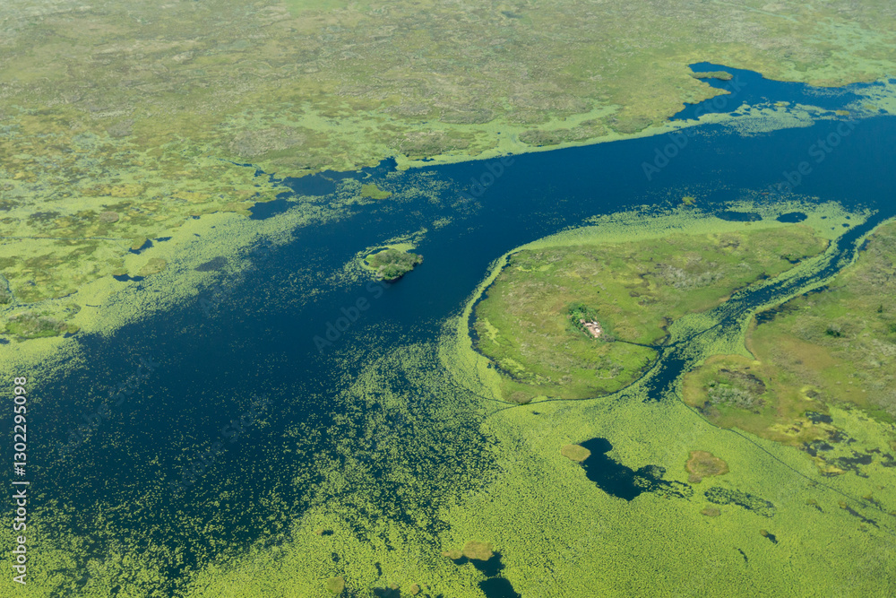 Aerial view of wetlands to the south west of Lake Victoria. Uganda. Aerial view of wetlands to the south west of Lake Victoria. Uganda.