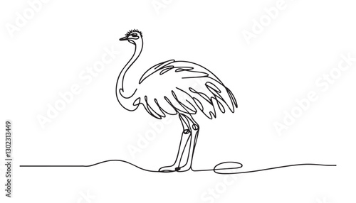 Continuous one single minimal line drawing Ostriches