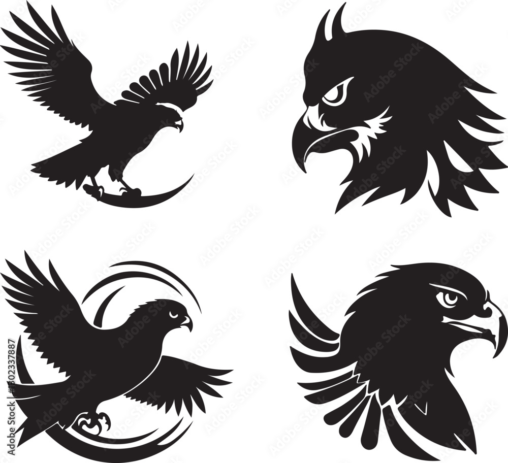 Obraz premium Majestic Hawk in Flight | Powerful Bird of Prey Illustration